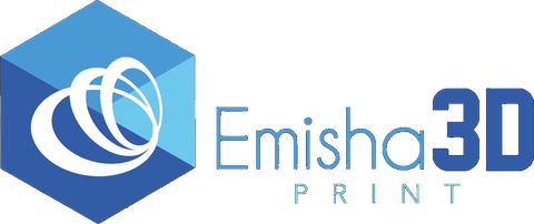 Emisha 3D Print